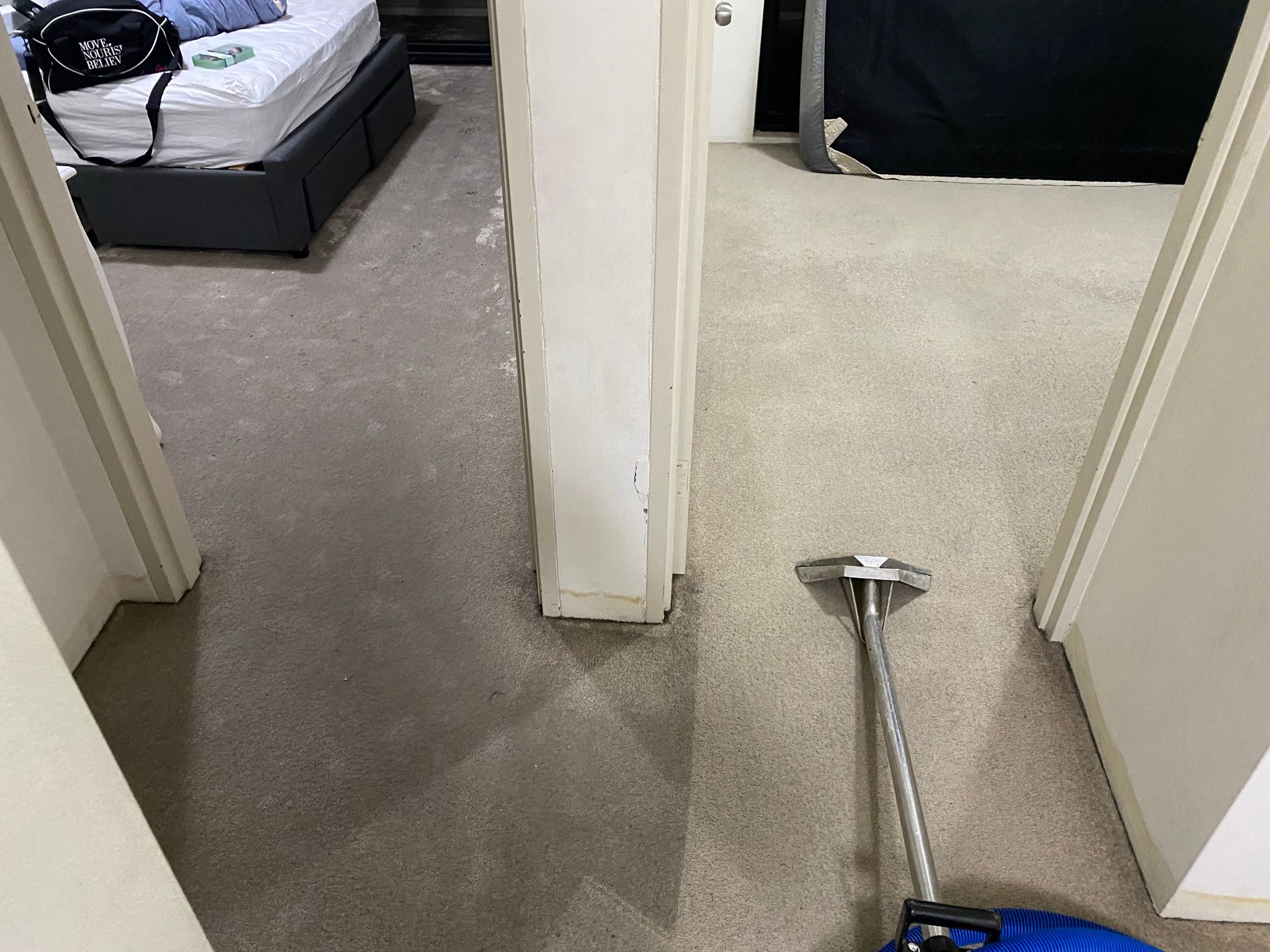 Carpet extraction and drying result