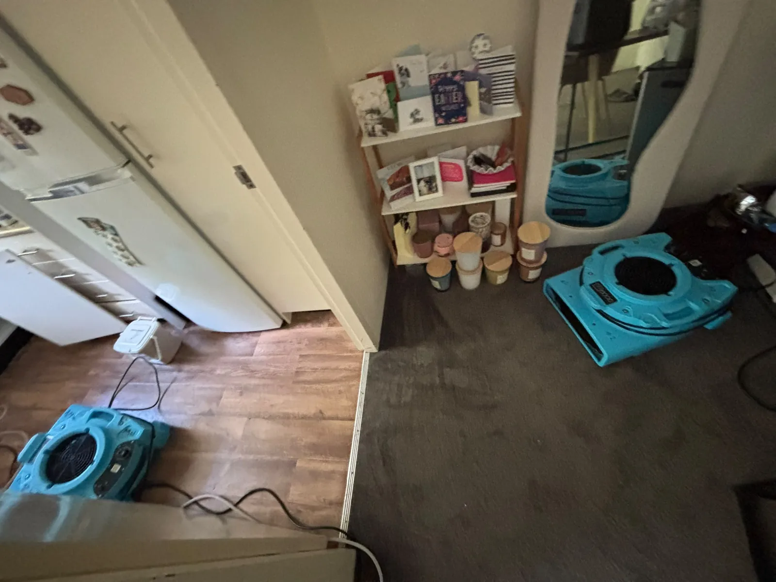 Carpet and flooring drying: Multiple air movers in an affected room.