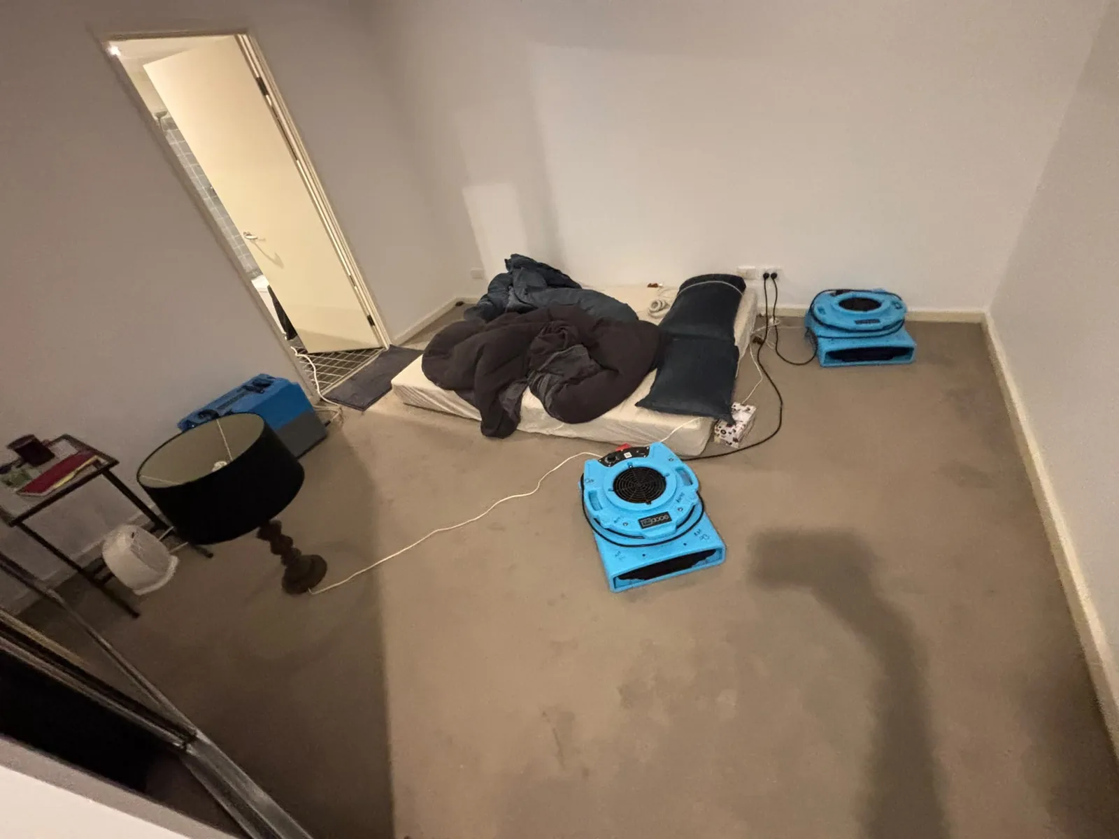 Air movement in a room: A group of fans positioned on a room floor.