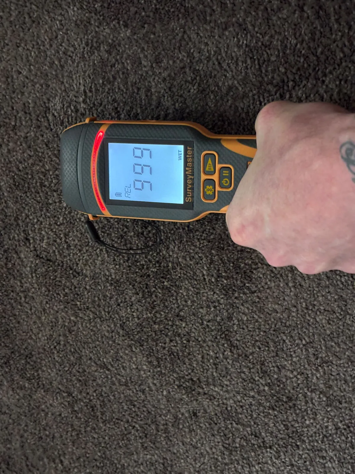 Moisture in carpet: Carpet readings help identify areas needing assessment.