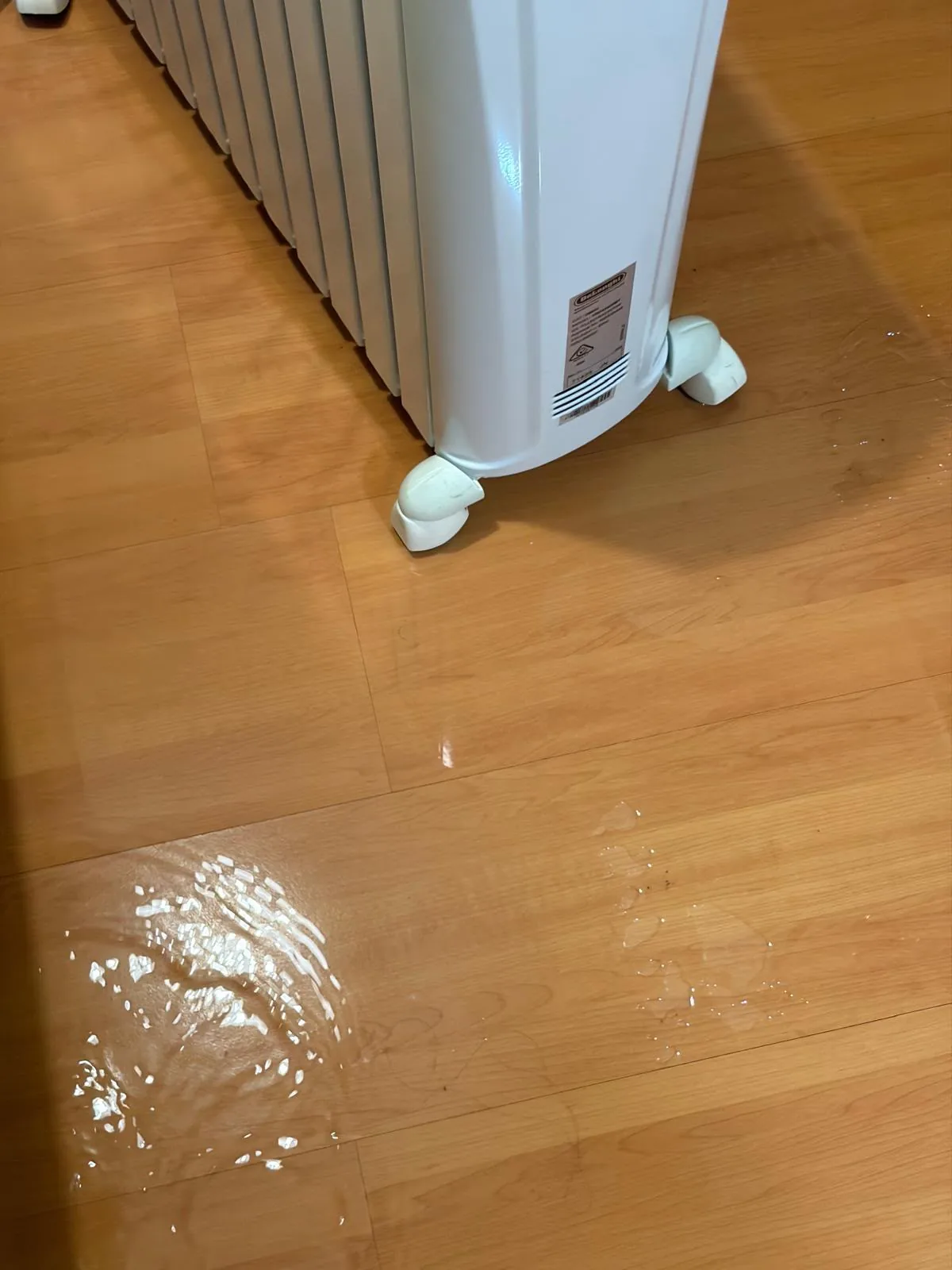 Visible water on flooring: Standing moisture apparent across a timber floor.