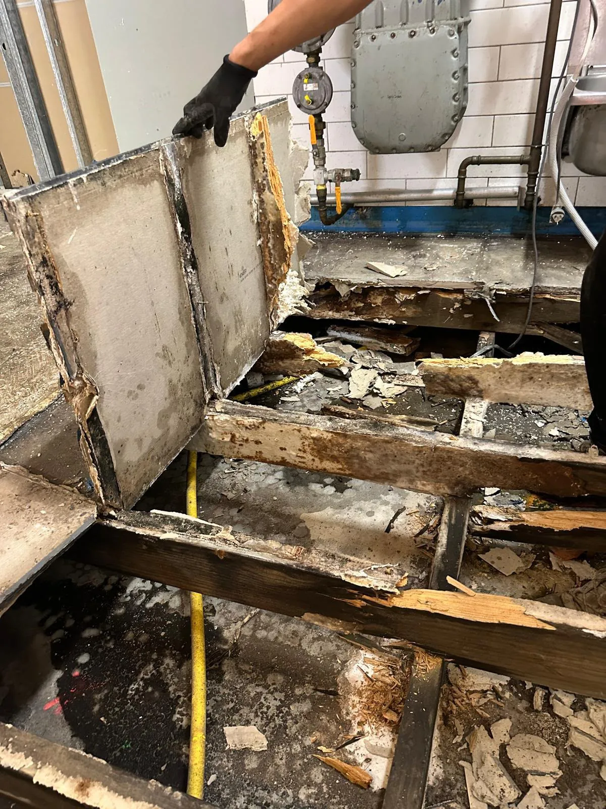Underfloor investigation: Exposed timber and floor structure during investigation.
