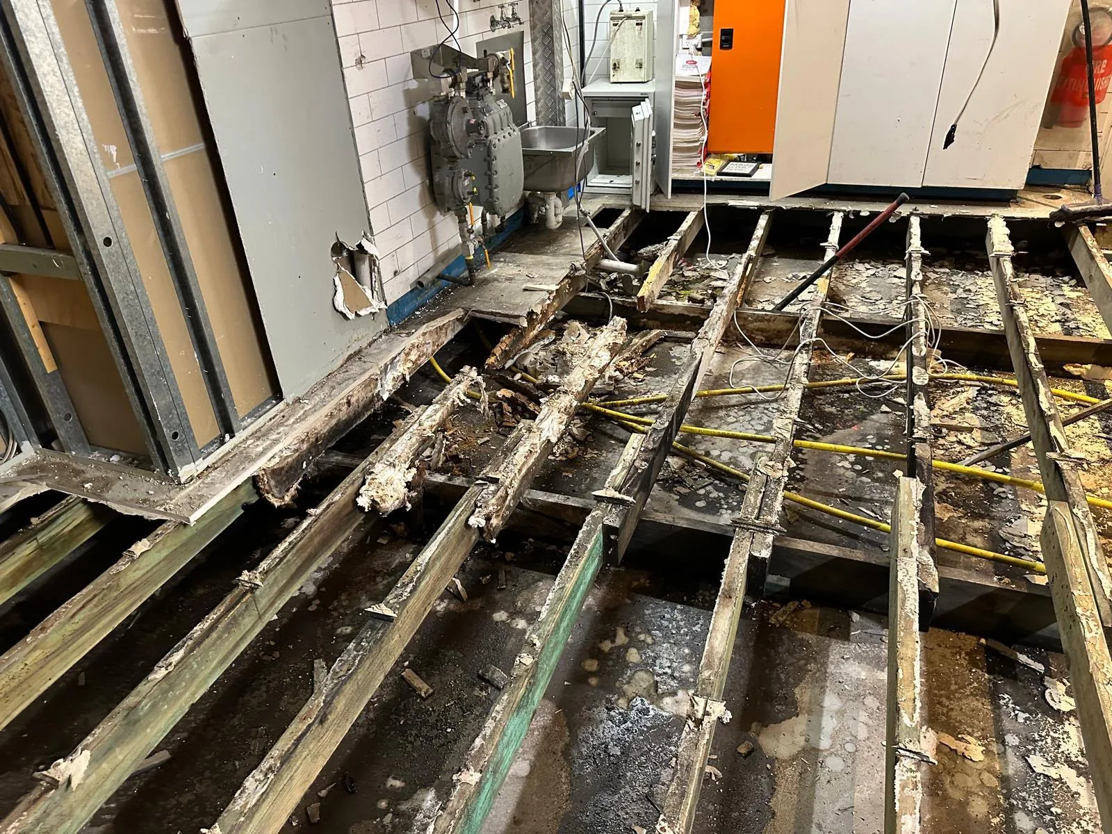 Exposed subfloor and water-affected timbers during investigation